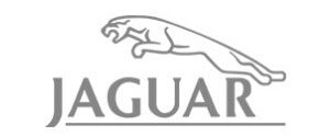 Jaguar Logo Client Project