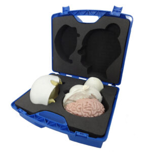 protective case to transport medical training equipment